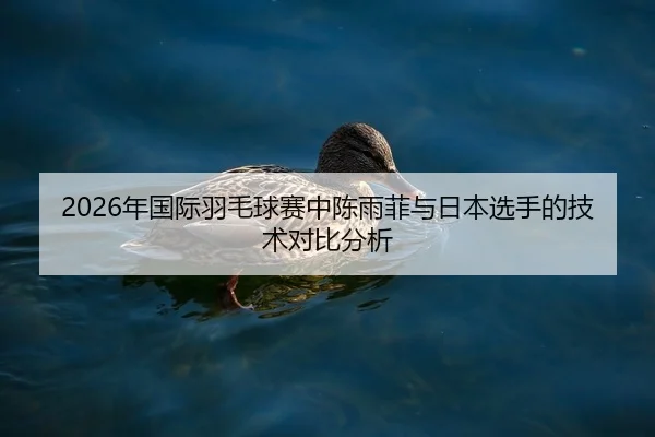 2026年国际羽毛球赛中陈雨菲与日本选手的技术对比分析