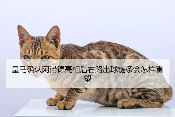 皇马确认阿诺德亮相后右路出球链条会怎样重塑