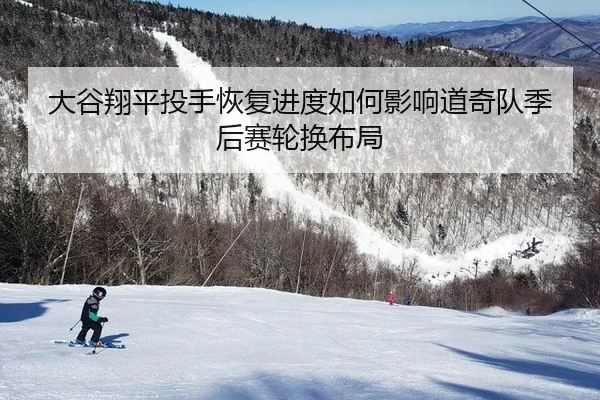 da-gu-xiang-ping-tou-shou-hui-fu-jin-du-ru-he-ying-xiang-dao-qi-dui-ji-hou-sai-lun-huan-bu-ju-3-431.jpg