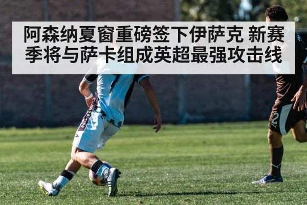 阿森纳夏窗重磅签下伊萨克 新赛季将与萨卡组成英超最强攻击线