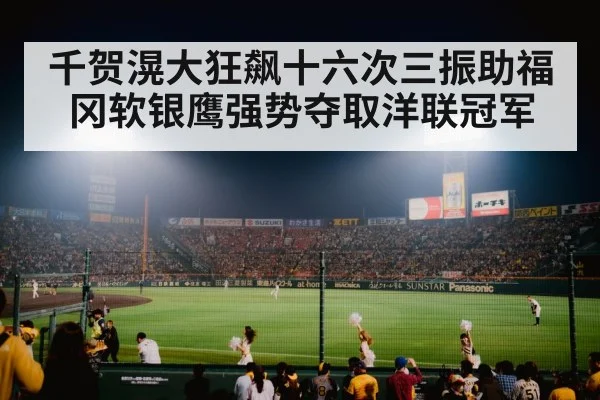 baseball stadium night
