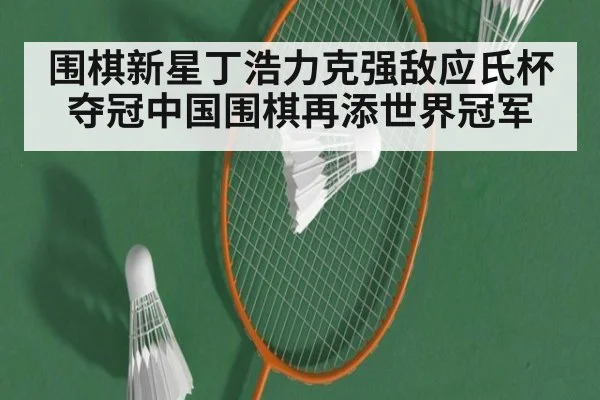 围棋新星丁浩力克强敌应氏杯夺冠中国围棋再添世界冠军